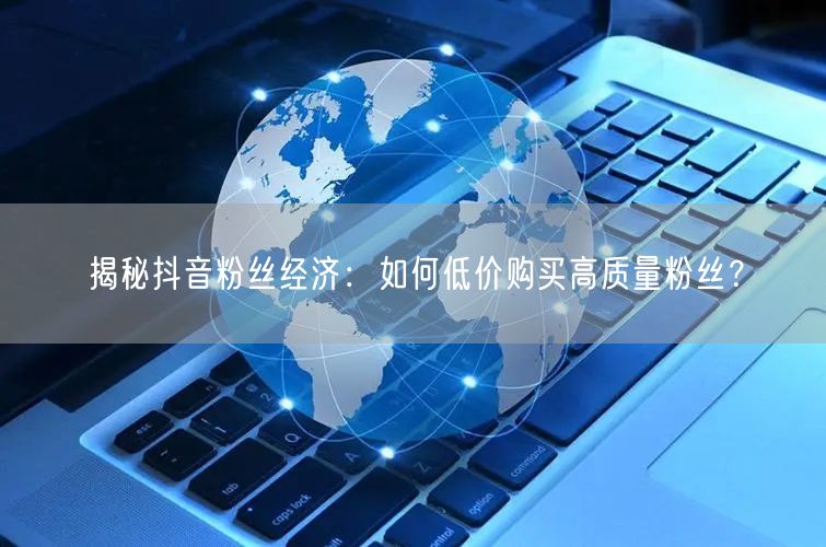 揭秘抖音粉丝经济：如何低价购买高质量粉丝？