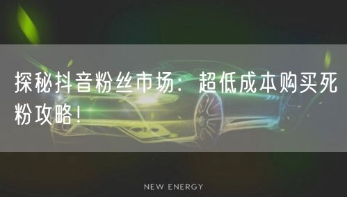 探秘抖音粉丝市场：超低成本购买死粉攻略！