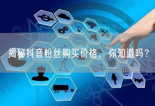 揭秘抖音粉丝购买价格，你知道吗？