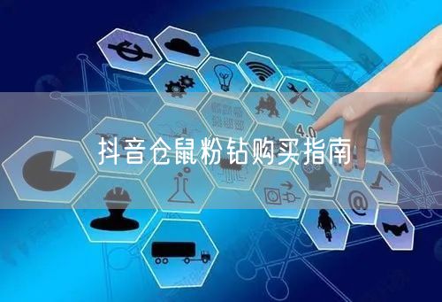 抖音仓鼠粉钻购买指南