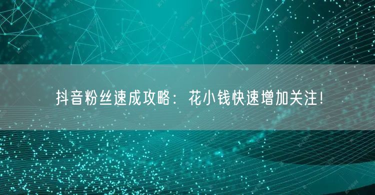 抖音粉丝速成攻略：花小钱快速增加关注！