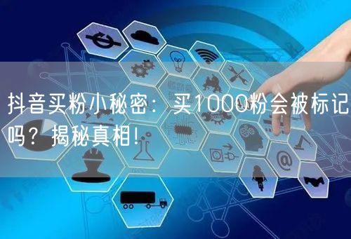 抖音买粉小秘密：买1000粉会被标记吗？揭秘真相！