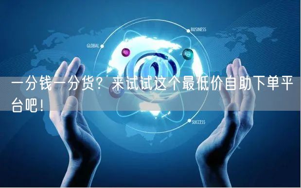 一分钱一分货？来试试这个最低价自助下单平台吧！