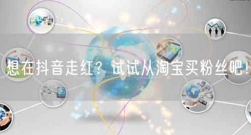 想在抖音走红？试试从淘宝买粉丝吧！