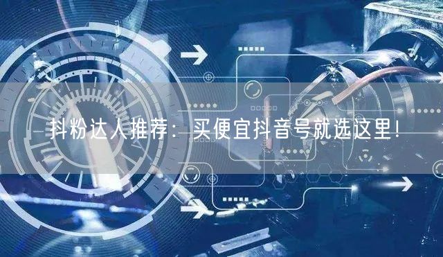 抖粉达人推荐：买便宜抖音号就选这里！