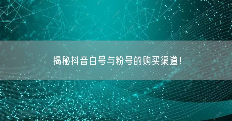 揭秘抖音白号与粉号的购买渠道！