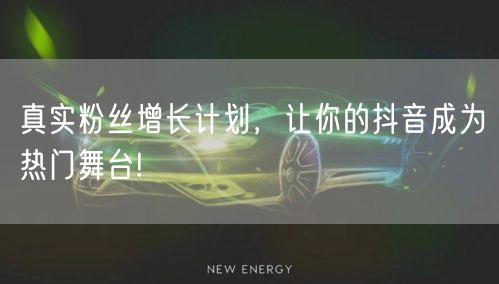 真实粉丝增长计划，让你的抖音成为热门舞台!