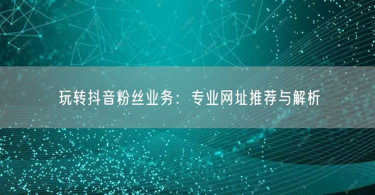 玩转抖音粉丝业务：专业网址推荐与解析
