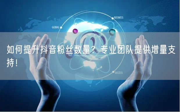 如何提升抖音粉丝数量？专业团队提供增量支