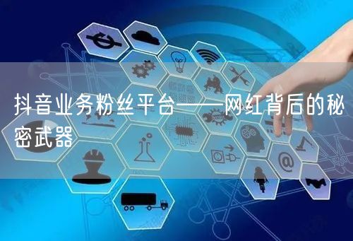 抖音业务粉丝平台——网红背后的秘密武器