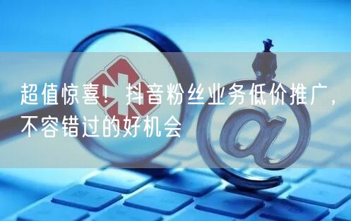 超值惊喜！抖音粉丝业务低价推广，不容错过的好机会