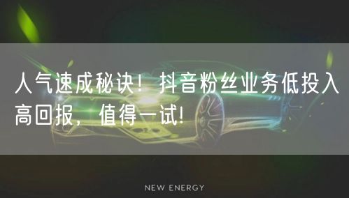 人气速成秘诀！抖音粉丝业务低投入高回报，值得一试!