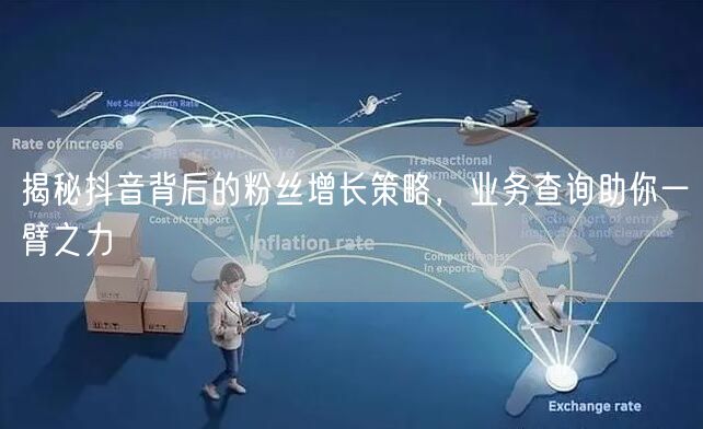 揭秘抖音背后的粉丝增长策略，业务查询助你一臂之力
