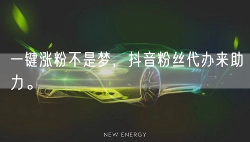 一键涨粉不是梦，抖音粉丝代办来助力。