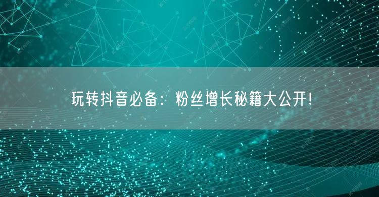 玩转抖音必备：粉丝增长秘籍大公开！