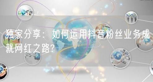 独家分享：如何运用抖音粉丝业务成就网红之