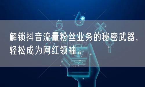 解锁抖音流量粉丝业务的秘密武器，轻松成为