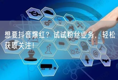想要抖音爆红？试试粉丝业务，轻松获取关注