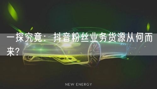 一探究竟：抖音粉丝业务货源从何而来?