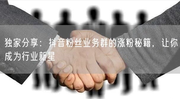 独家分享：抖音粉丝业务群的涨粉秘籍，让你