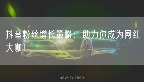 抖音粉丝增长策略：助力你成为网红大咖！
