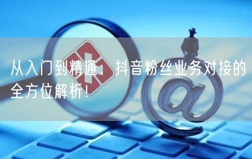 从入门到精通：抖音粉丝业务对接的全方位解