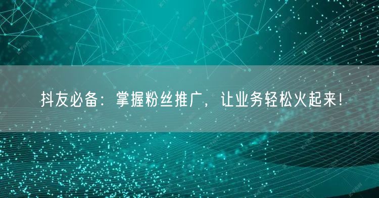 抖友必备：掌握粉丝推广，让业务轻松火起来