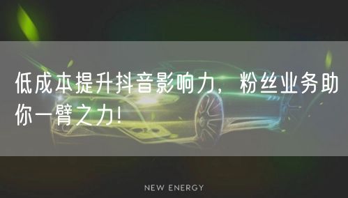 低成本提升抖音影响力，粉丝业务助你一臂之力！
