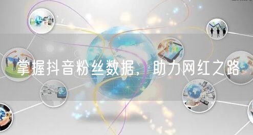 掌握抖音粉丝数据，助力网红之路