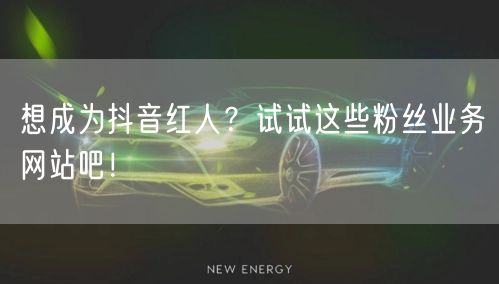 想成为抖音红人？试试这些粉丝业务网站吧！