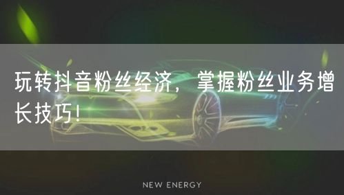玩转抖音粉丝经济，掌握粉丝业务增长技巧！