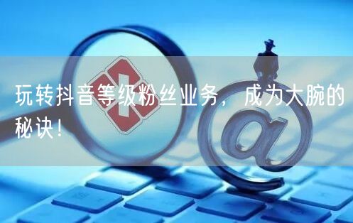 玩转抖音等级粉丝业务，成为大腕的秘诀！