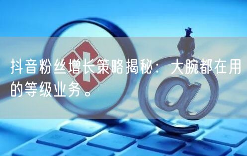 抖音粉丝增长策略揭秘：大腕都在用的等级业务。
