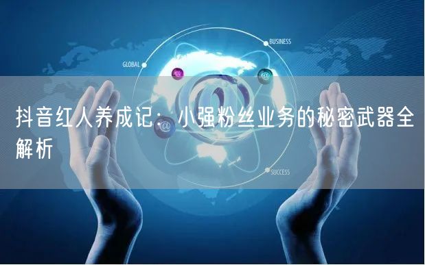 抖音红人养成记：小强粉丝业务的秘密武器全解析