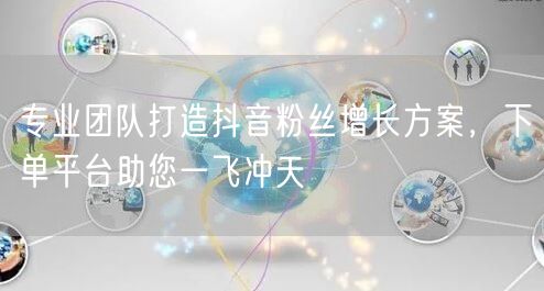 专业团队打造抖音粉丝增长方案，下单平台助您一飞冲天