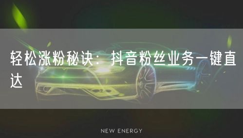 轻松涨粉秘诀：抖音粉丝业务一键直达