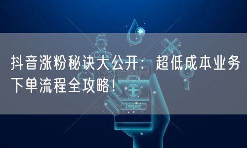抖音涨粉秘诀大公开：超低成本业务下单流程全攻略！