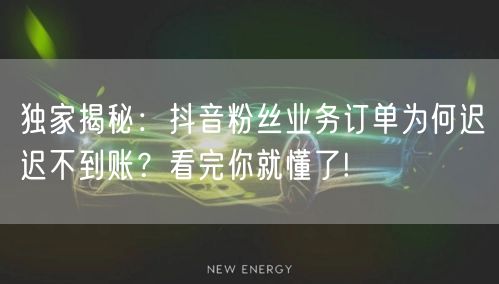 独家揭秘：抖音粉丝业务订单为何迟迟不到账？看完你就懂了!