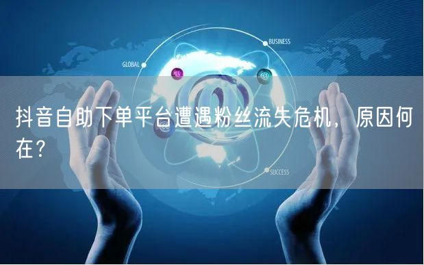 抖音自助下单平台遭遇粉丝流失危机，原因何在？