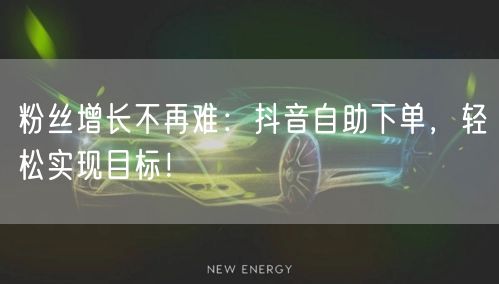 粉丝增长不再难：抖音自助下单，轻松实现目标！