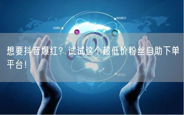想要抖音爆红？试试这个超低价粉丝自助下单平台！