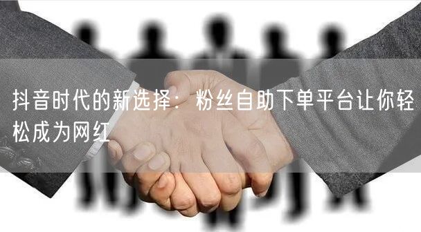 抖音时代的新选择：粉丝自助下单平台让你轻松成为网红