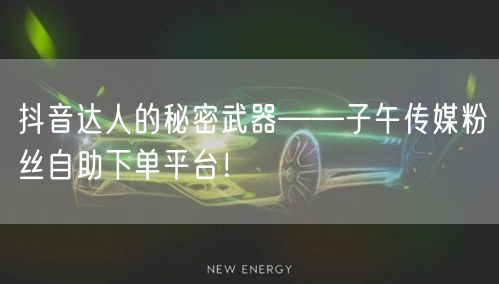 抖音达人的秘密武器——子午传媒粉丝自助下单平台！