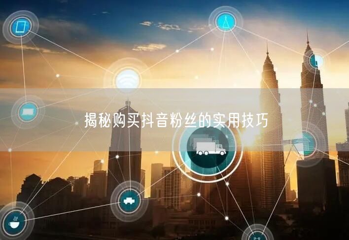 揭秘购买抖音粉丝的实用技巧