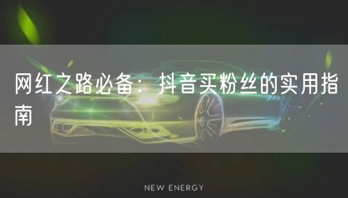 网红之路必备：抖音买粉丝的实用指南
