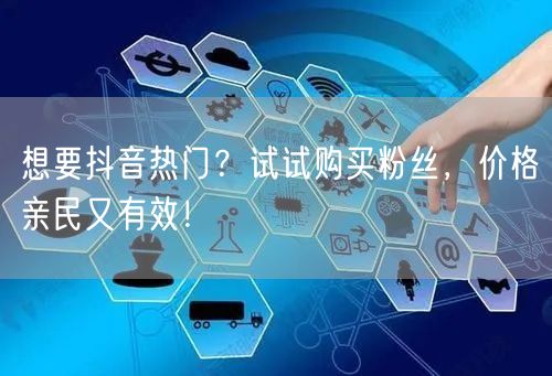 想要抖音热门？试试购买粉丝，价格亲民又有