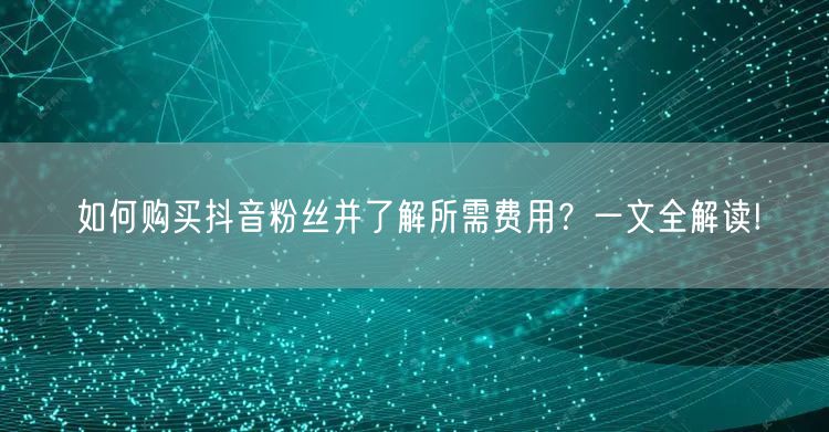 如何购买抖音粉丝并了解所需费用？一文全解