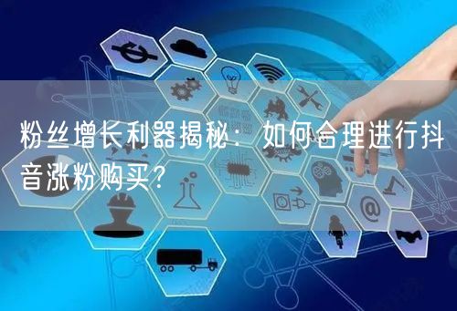 粉丝增长利器揭秘：如何合理进行抖音涨粉购买？