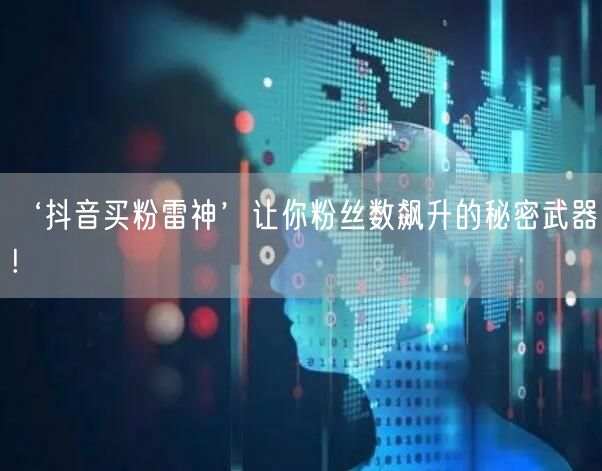 ‘抖音买粉雷神’让你粉丝数飙升的秘密武器!