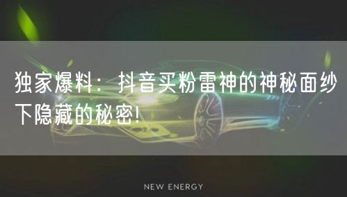 独家爆料：抖音买粉雷神的神秘面纱下隐藏的
